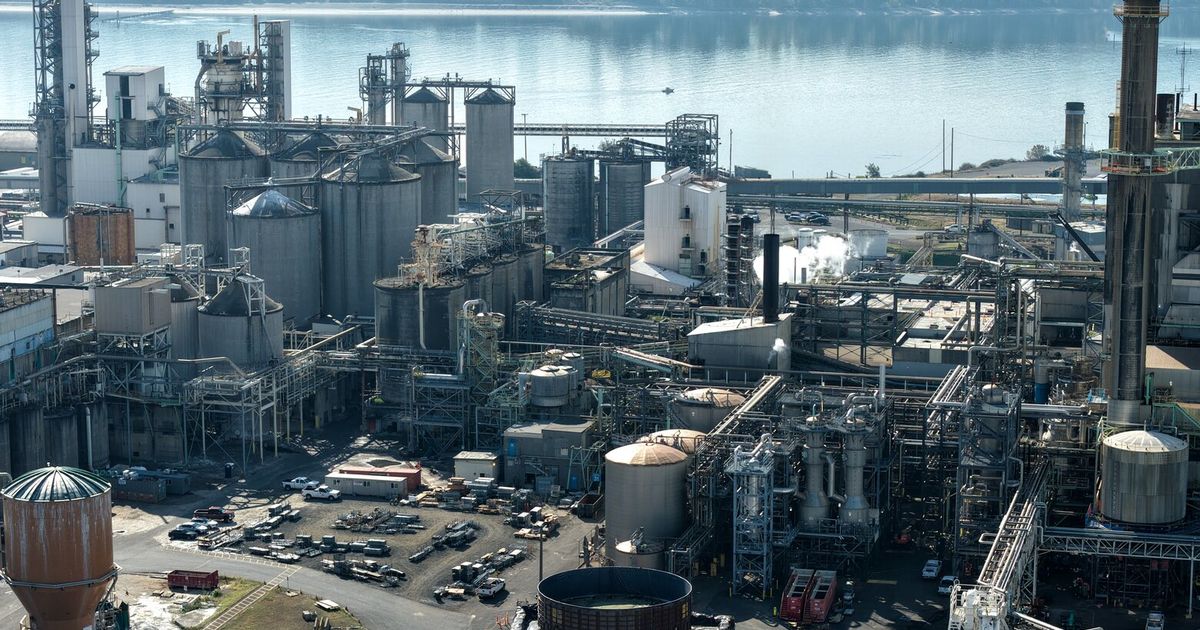 Nippon Dynawave cited for endangering workers at Longview mill before tank failure