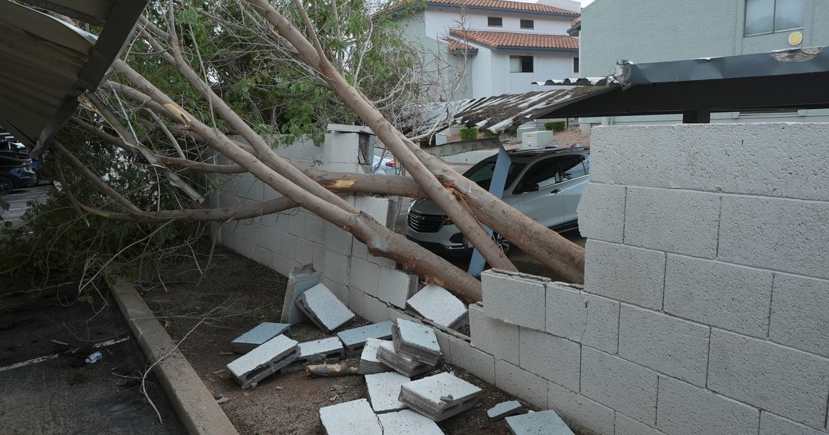 Violent Arizona storms bring possible tornado, toppled trees and golf ball-size hail