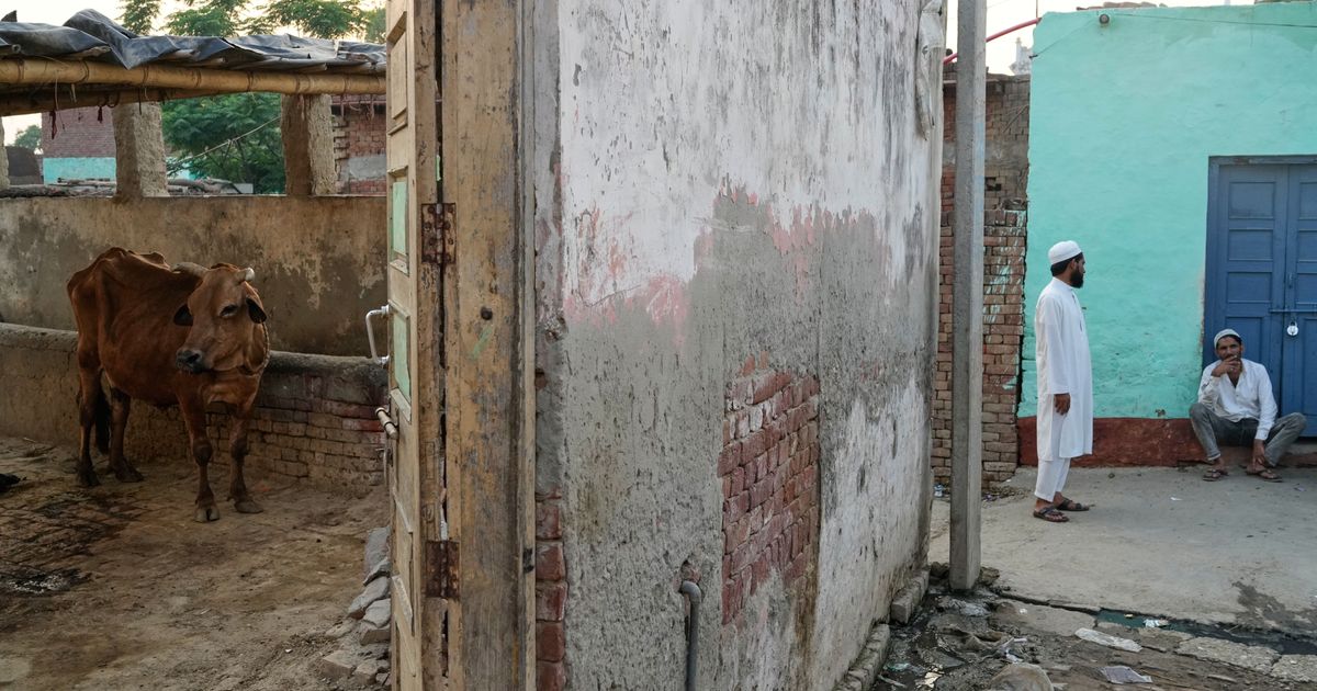 In India, police shootings of alleged cow smugglers raise alarm about impunity and bias
