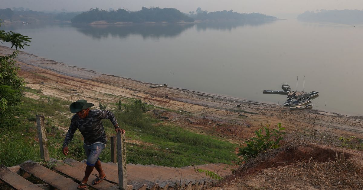 Environmentalists celebrate Lula’s reelection in Brazil: ‘The Amazon can breathe a sigh of relief’