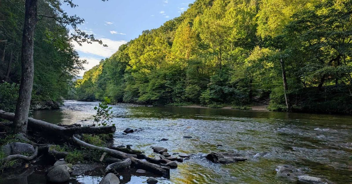 Townsend, Tennessee, brings slow travel trend to America’s most visited ...