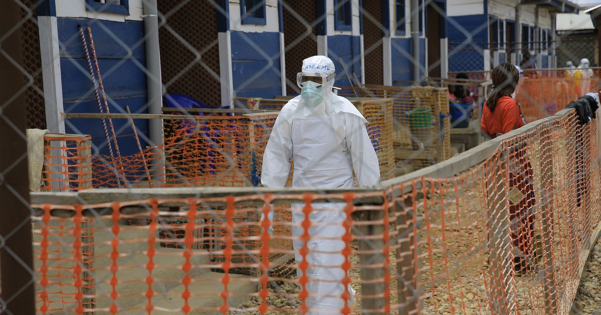 Experts warn of wider spread as Ebola outbreak reaches plateau