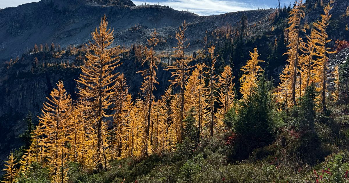 Agriculture secretary says agency is “full-bore ahead” on Forest Service reorganization