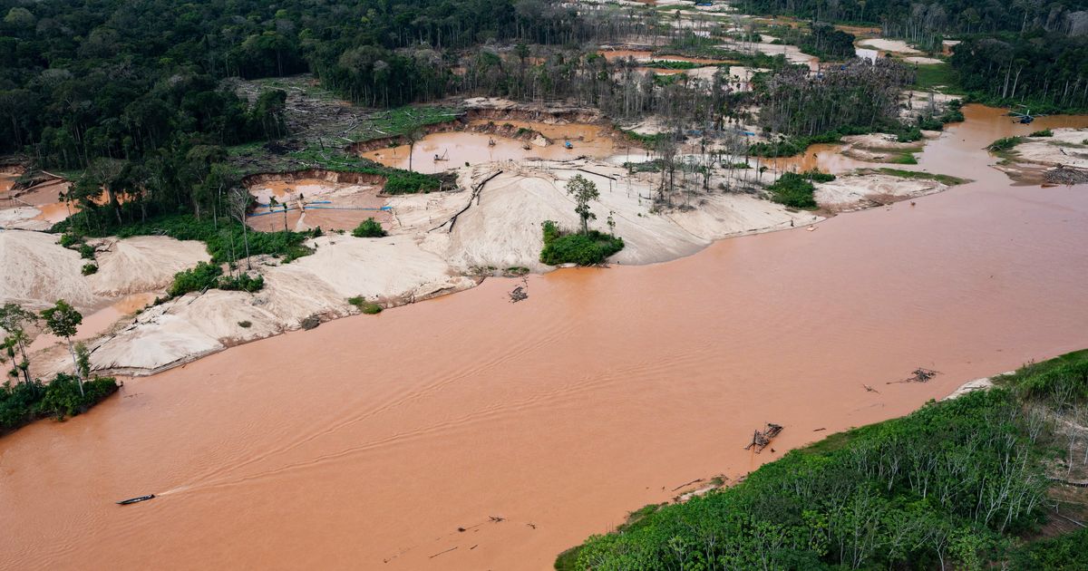 Interpol crackdown on illegal mining, logging and wildlife trafficking leads to 233 arrests