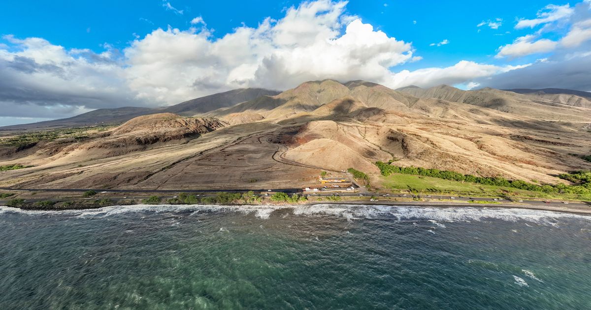 Maui Coral Reef Holds Secrets Of The Past — And The Future