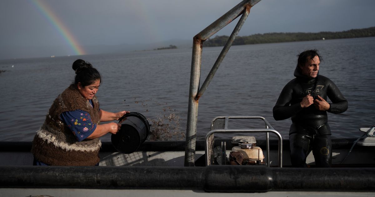 In southern Chile, locals push to protect oceans that have been hurt by intensive salmon farming