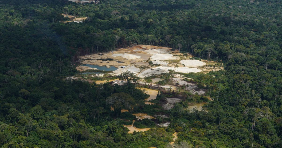 Prot Dap Takeaways from AP’s report on how Suriname’s Saamaka are fighting to ...